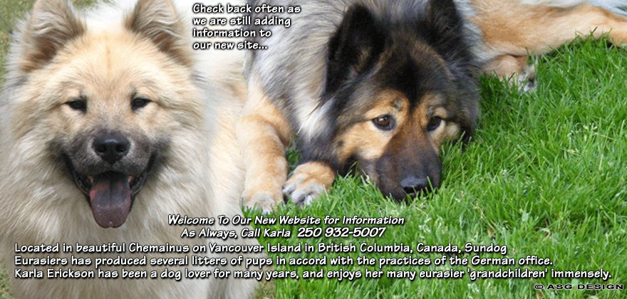 Sundog Eurasiers