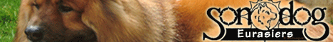 Sundog Eurasiers, BC, Canada